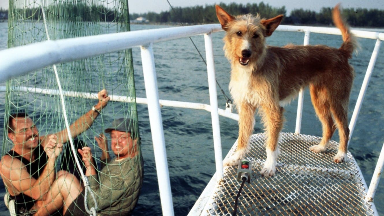 Zeus e Roxanne - Amici per la pinna