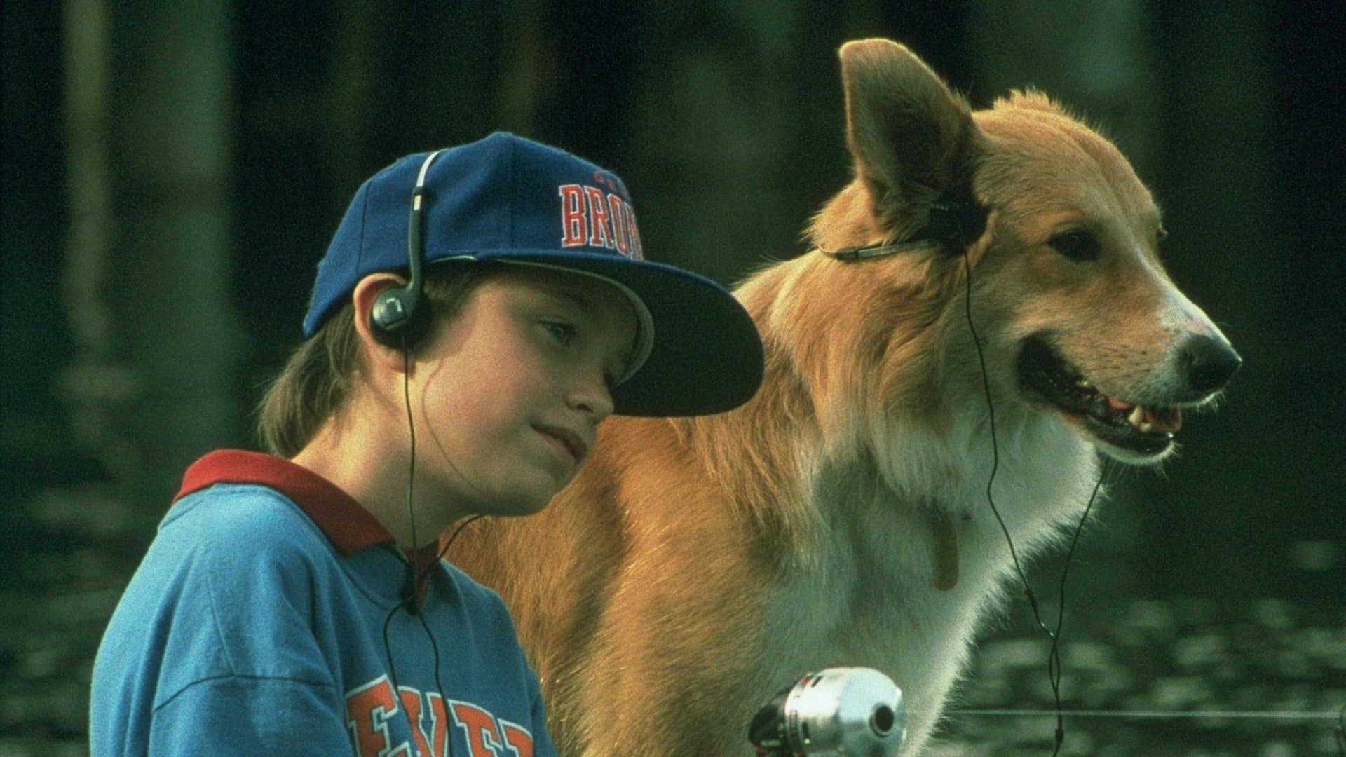 Bingo - Senti chi abbaia