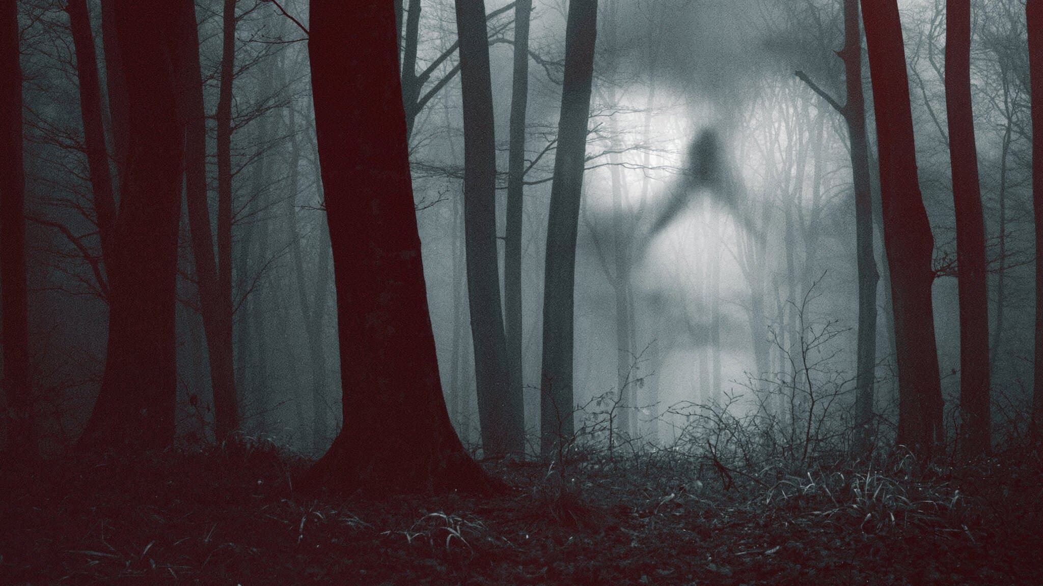 28 giorni paranormali