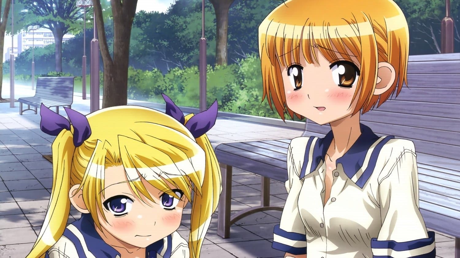 Oniichan no Koto nanka Zenzen Suki ja Nai n da kara ne!!