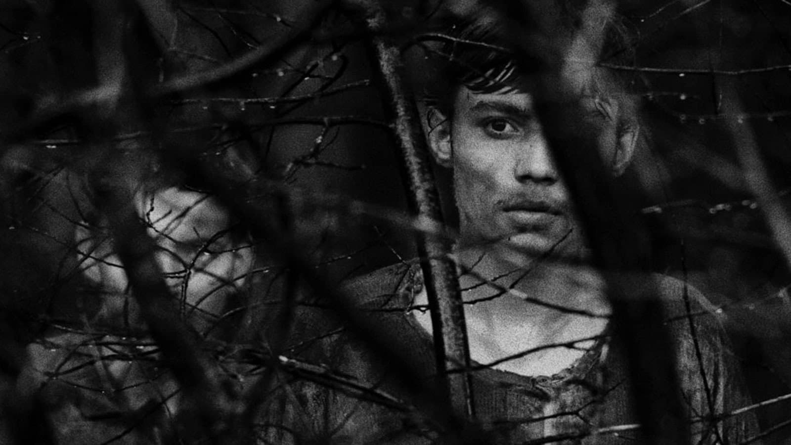 I diamanti della notte