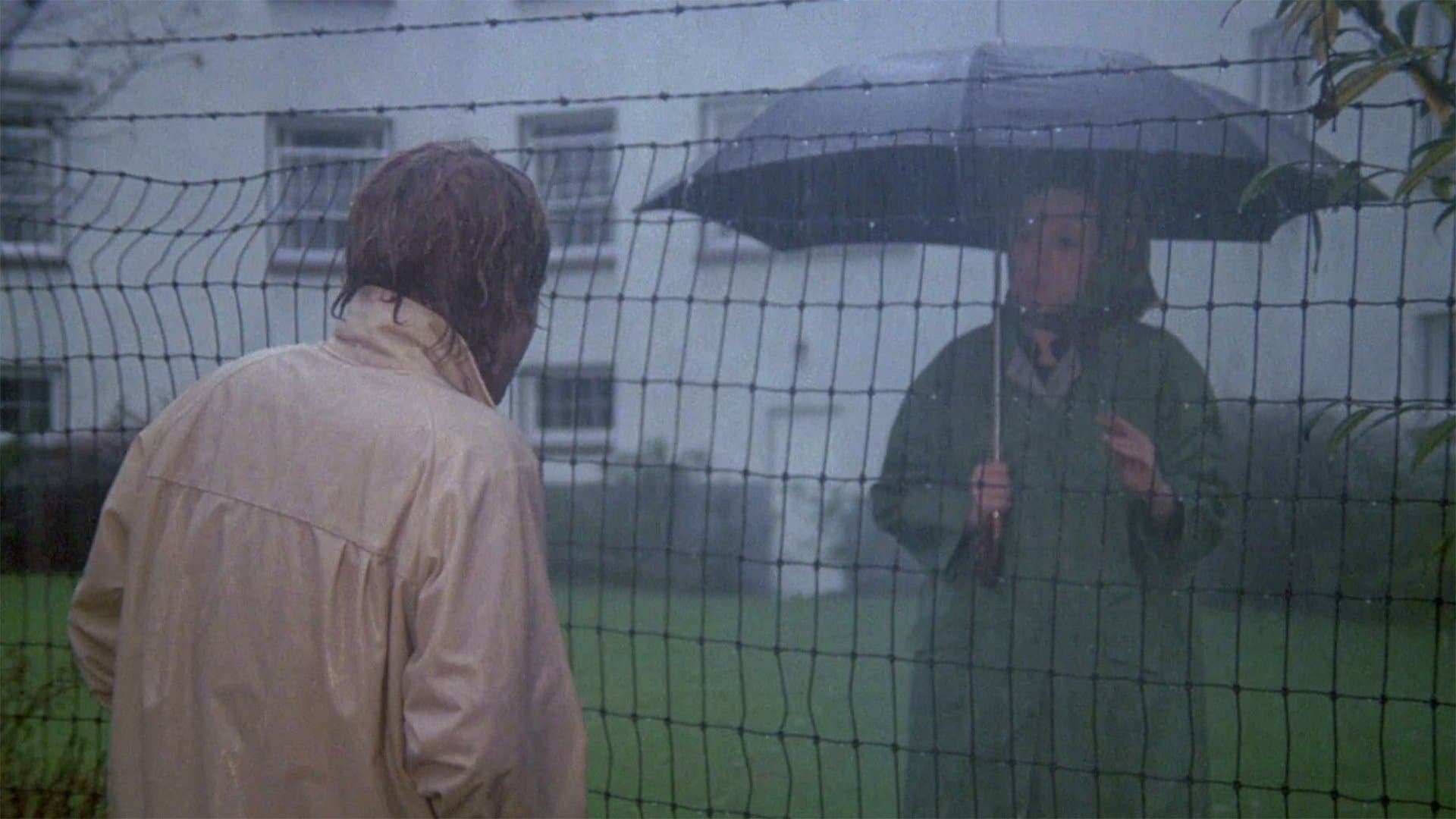 Quel freddo giorno nel parco