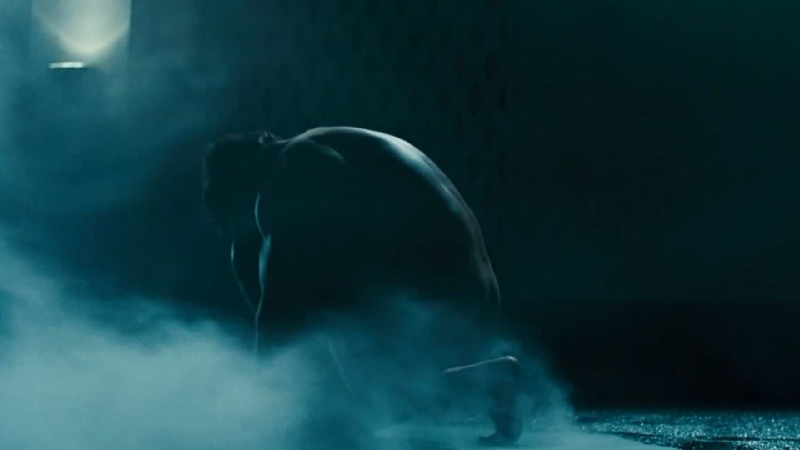 La fabrique d'Arnold Schwarzenegger