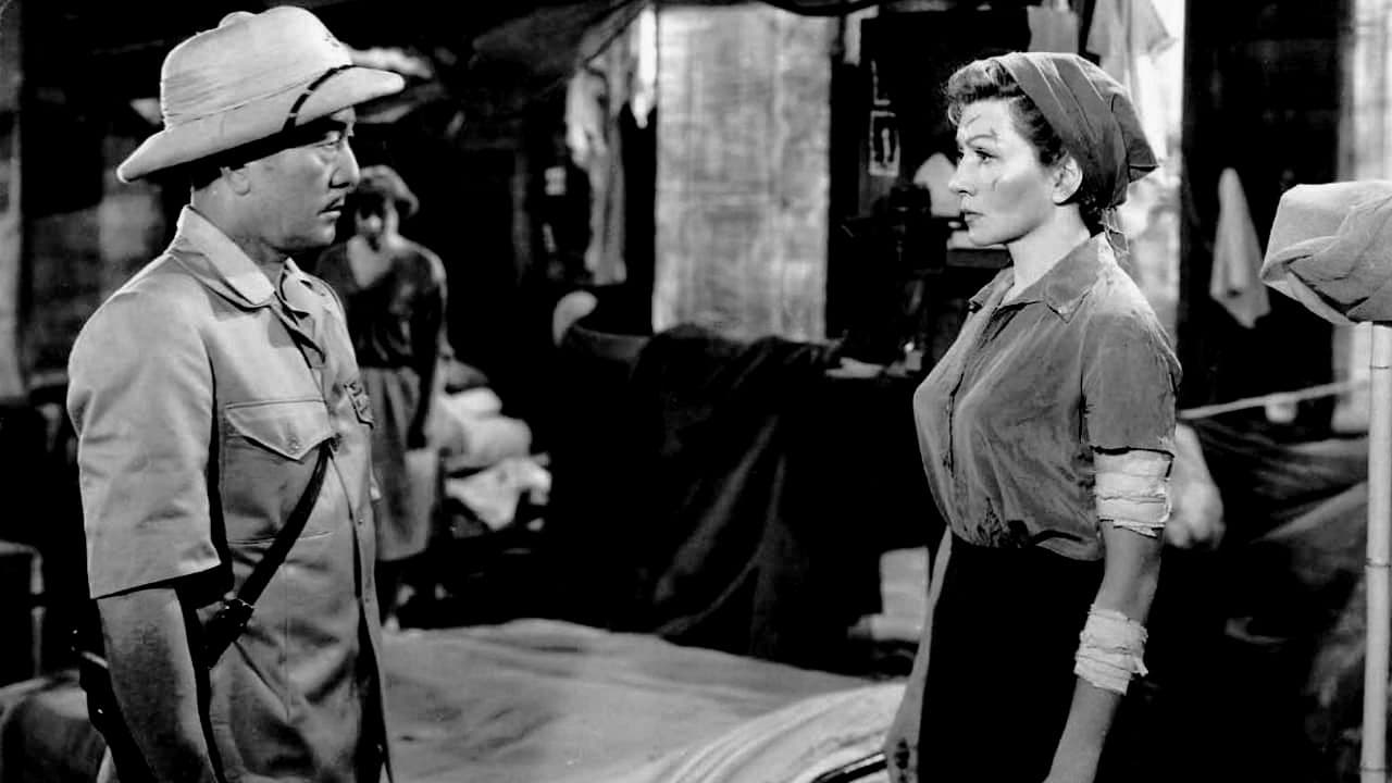 … e la vita continua