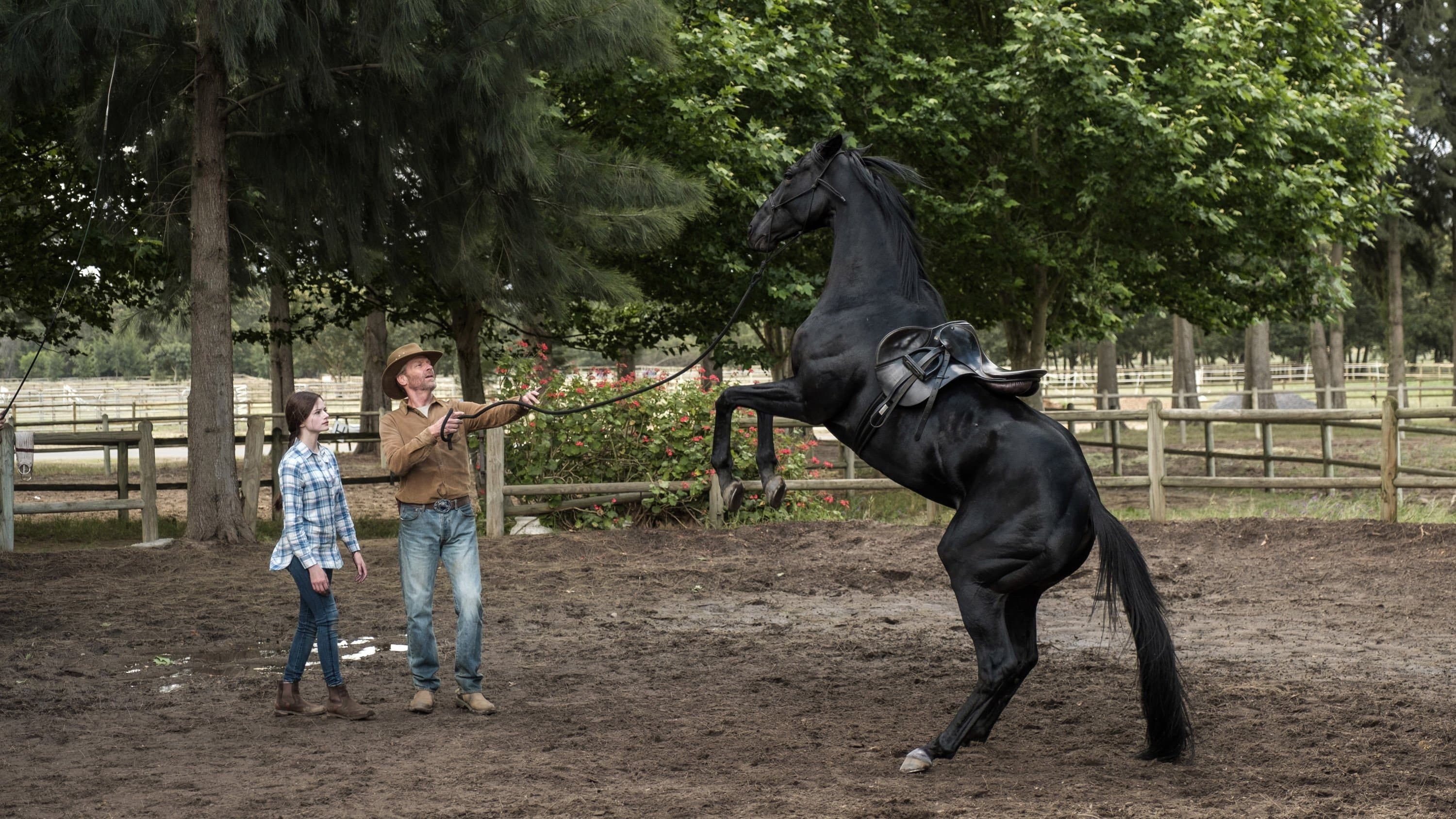 Black Beauty - Autobiografia di un cavallo