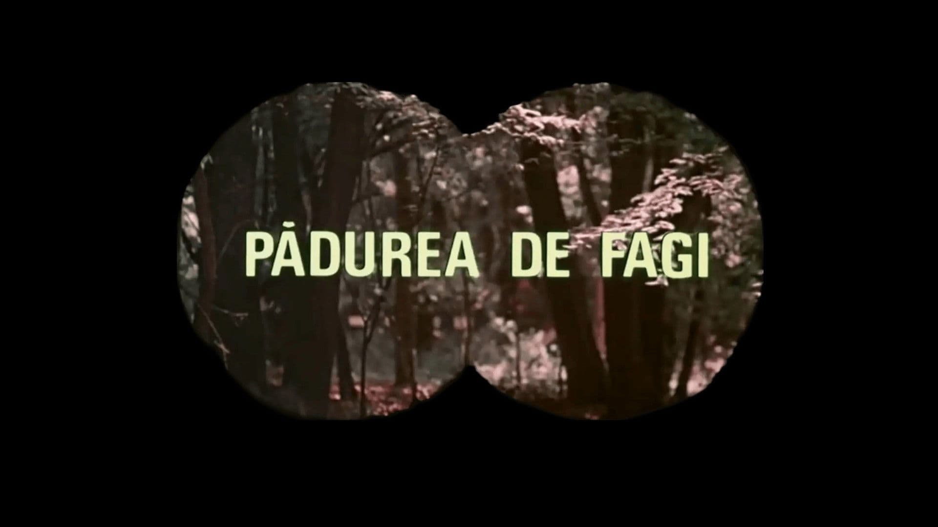 Pădurea de fagi