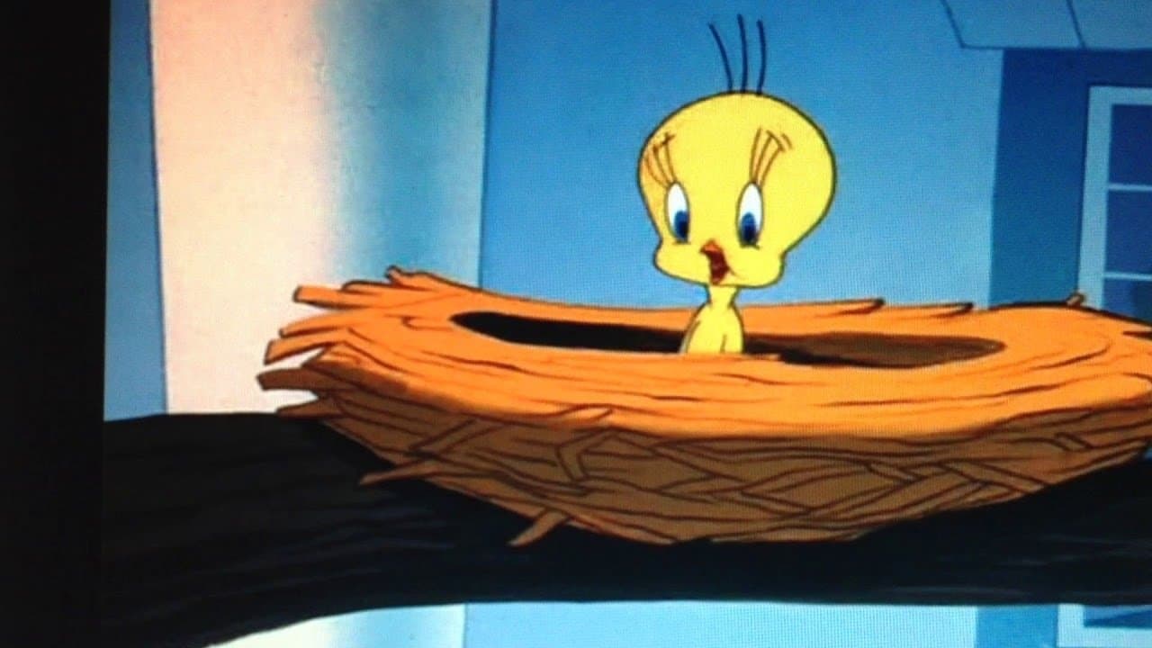 Per piacere non abbaiate