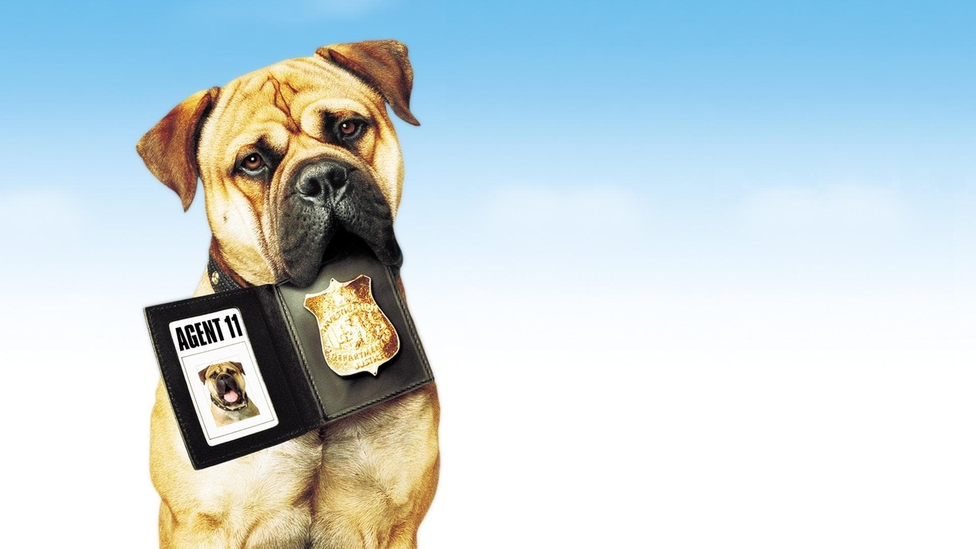 Spot - Supercane anticrimine