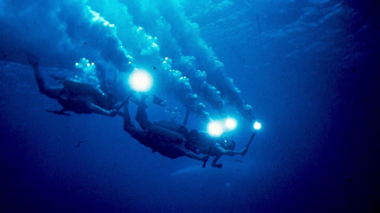 Il mondo del silenzio