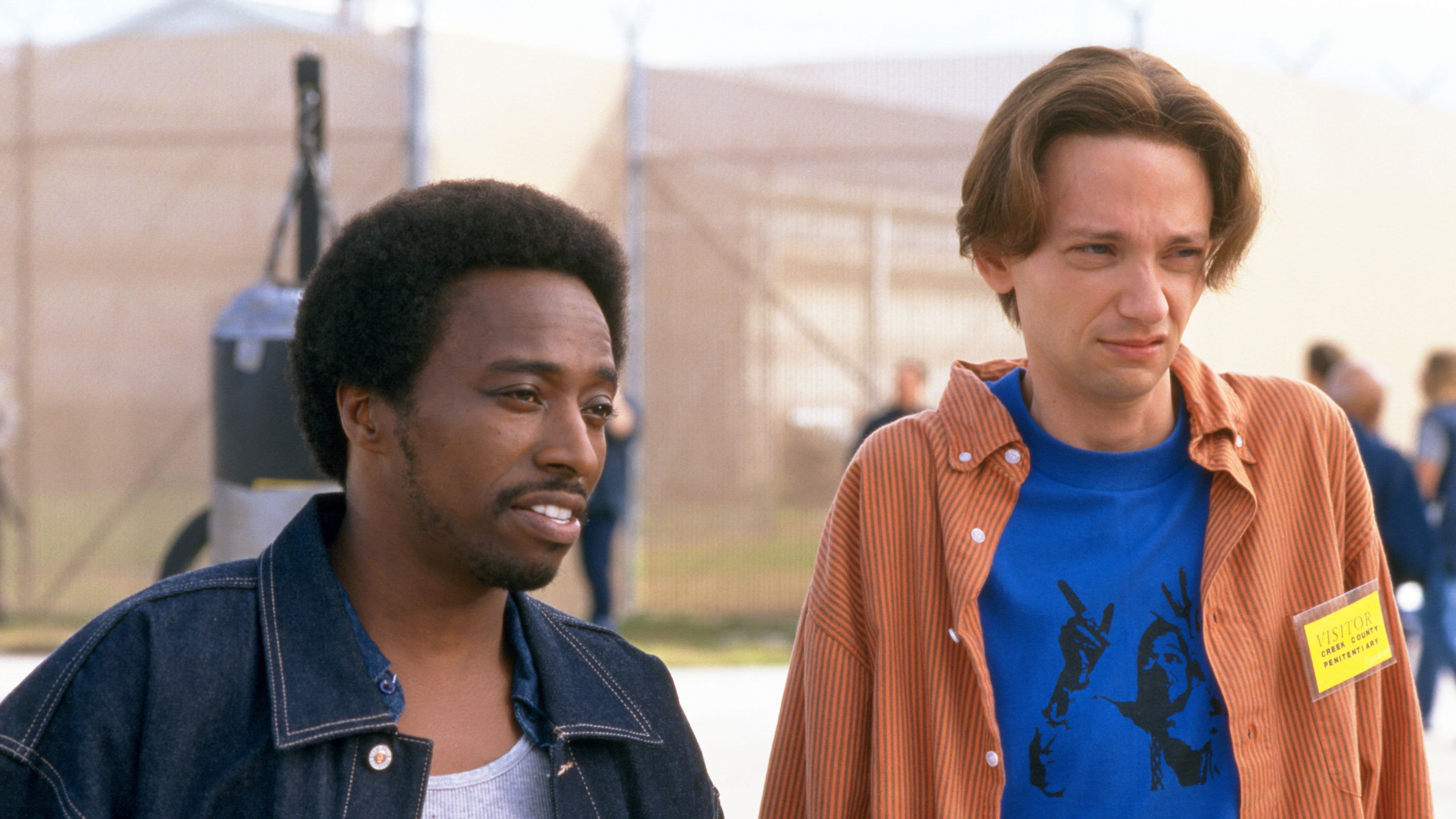 Un ragazzo tutto nuovo