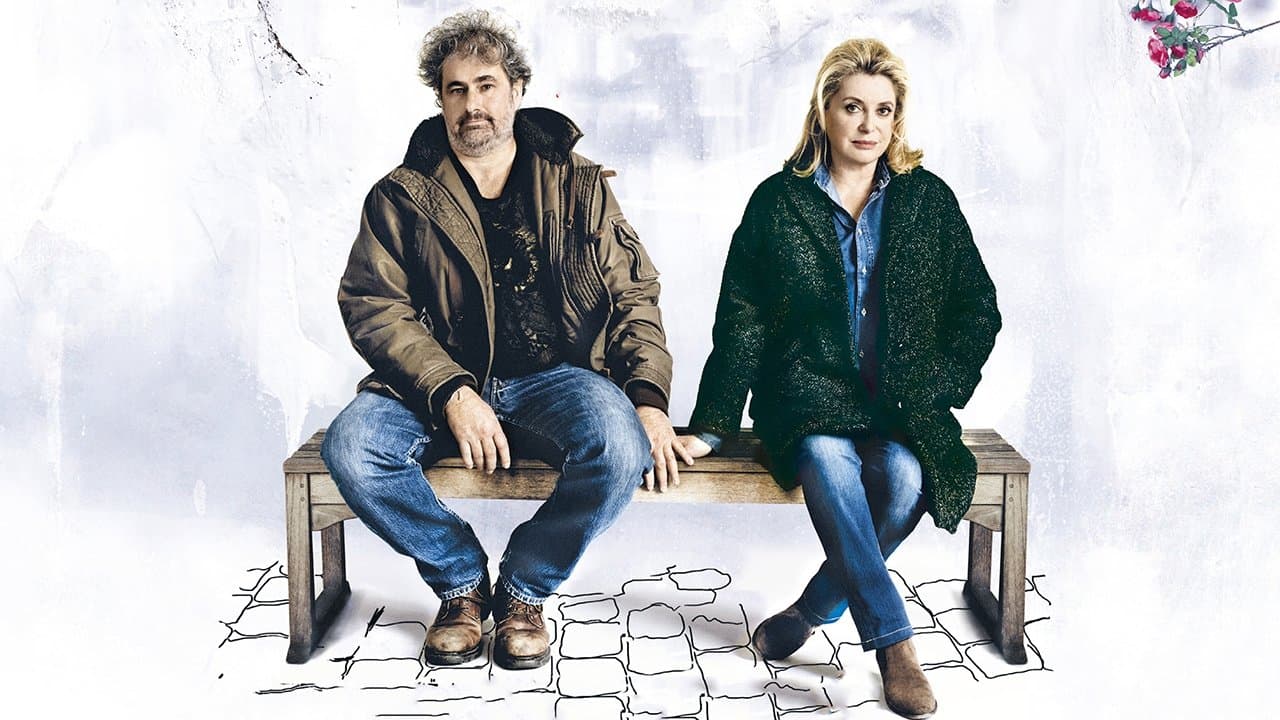 Piccole crepe grossi guai