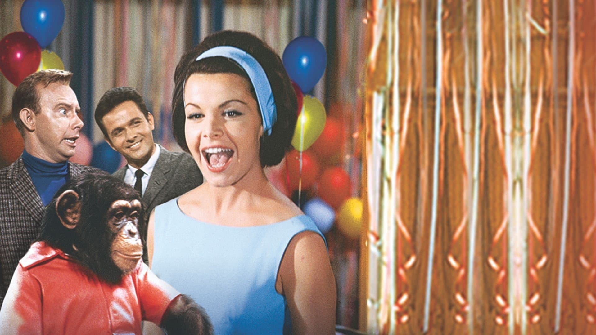 Lo zio dello scimpanzè