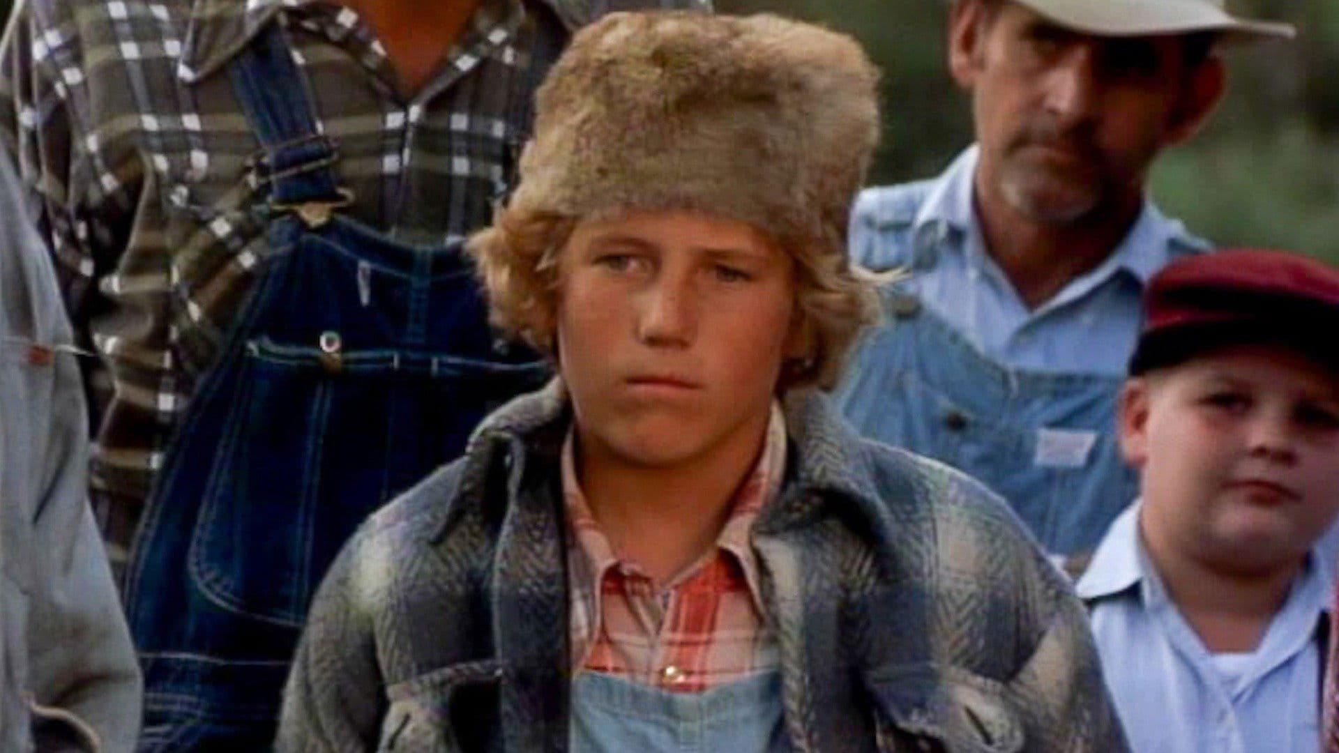 Dove cresce la felce rossa