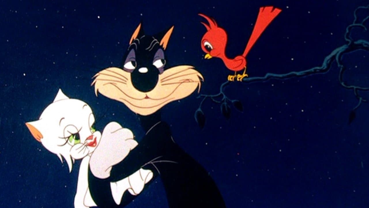 Il micione innamorato