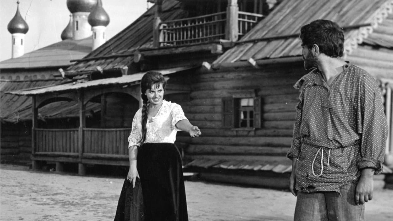 Lady Macbeth siberiana