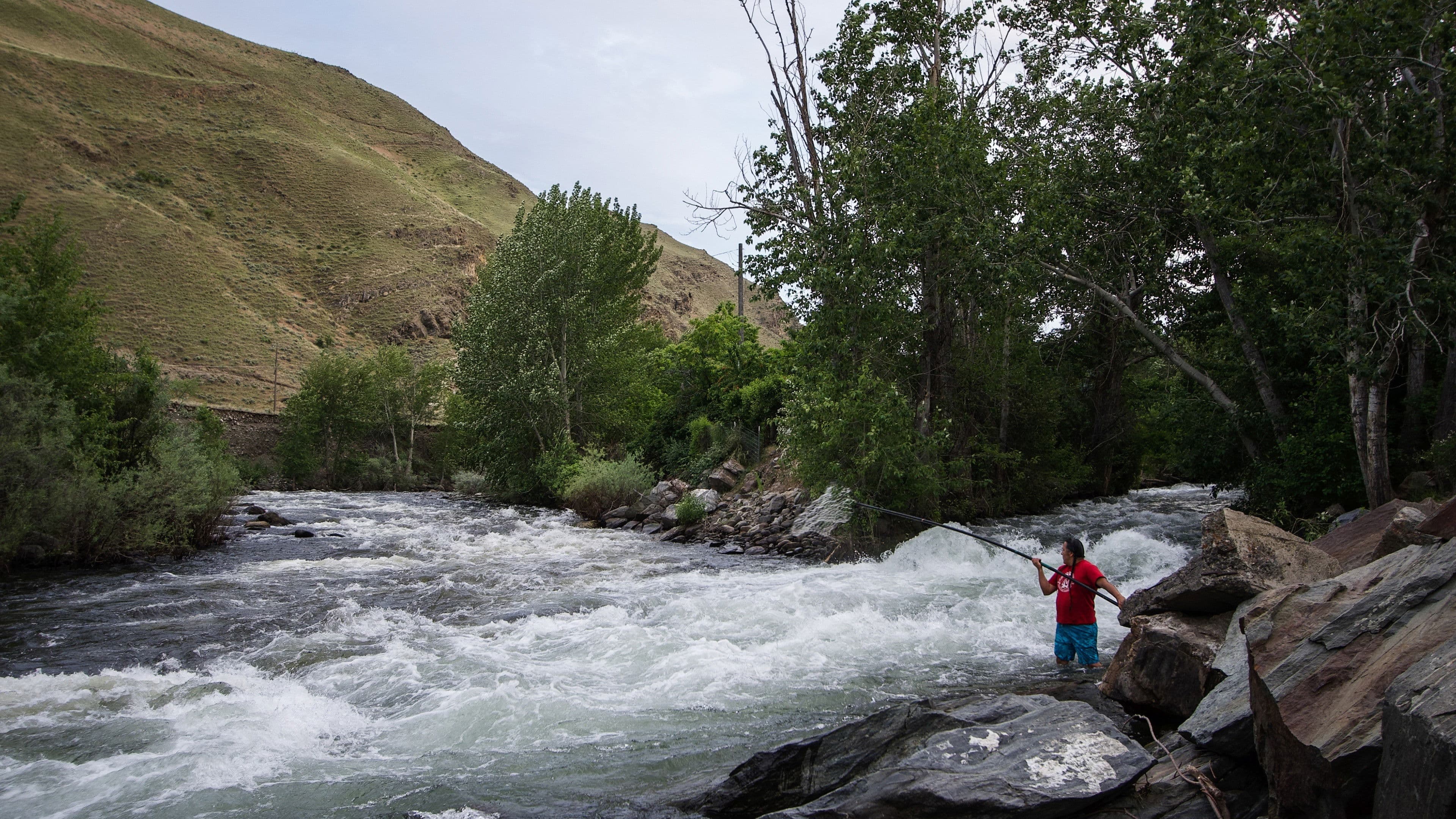 Covenant of the Salmon People