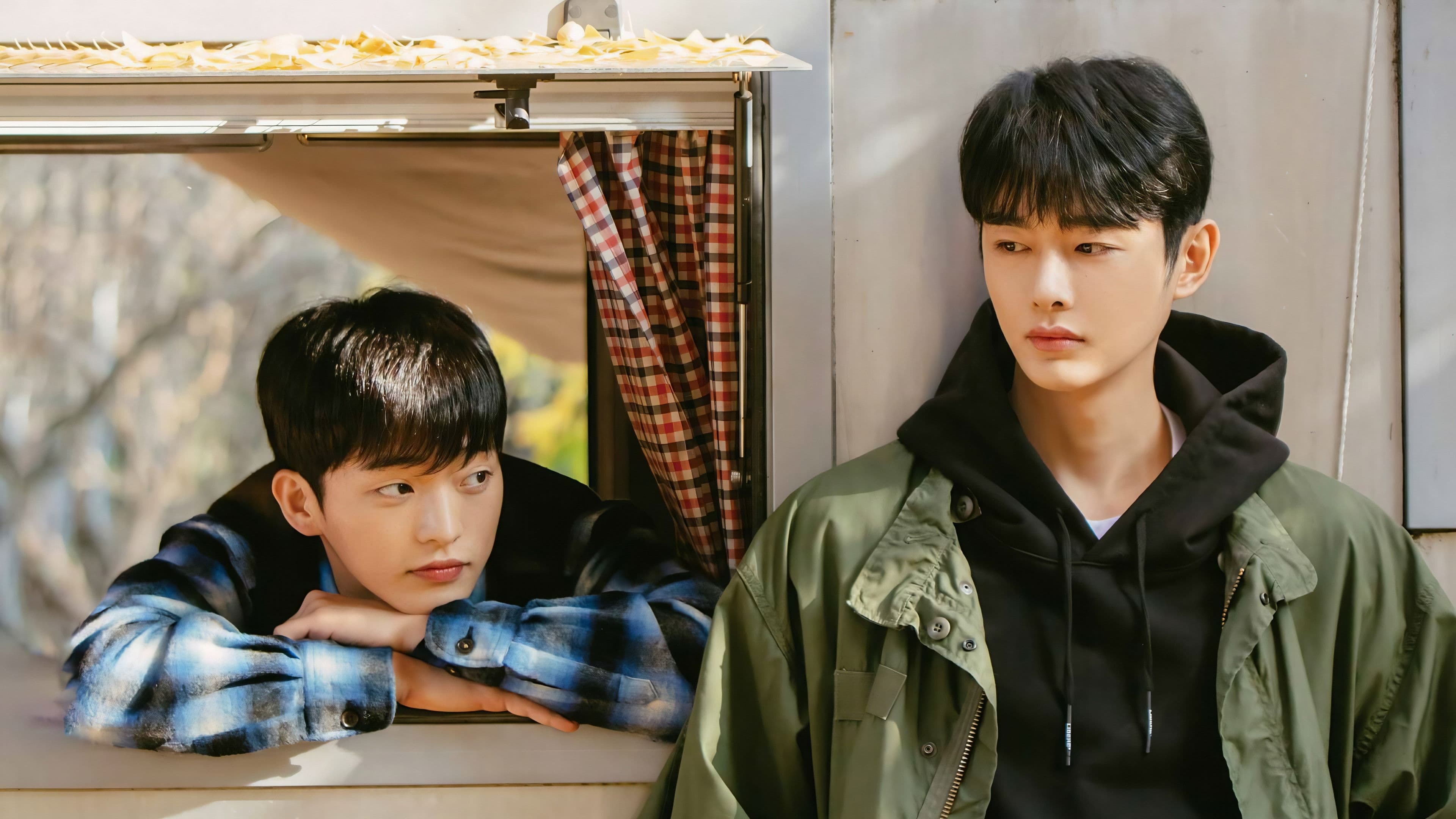 겨울 지나 벚꽃