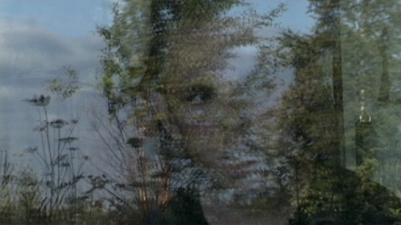 Anton è qui accanto