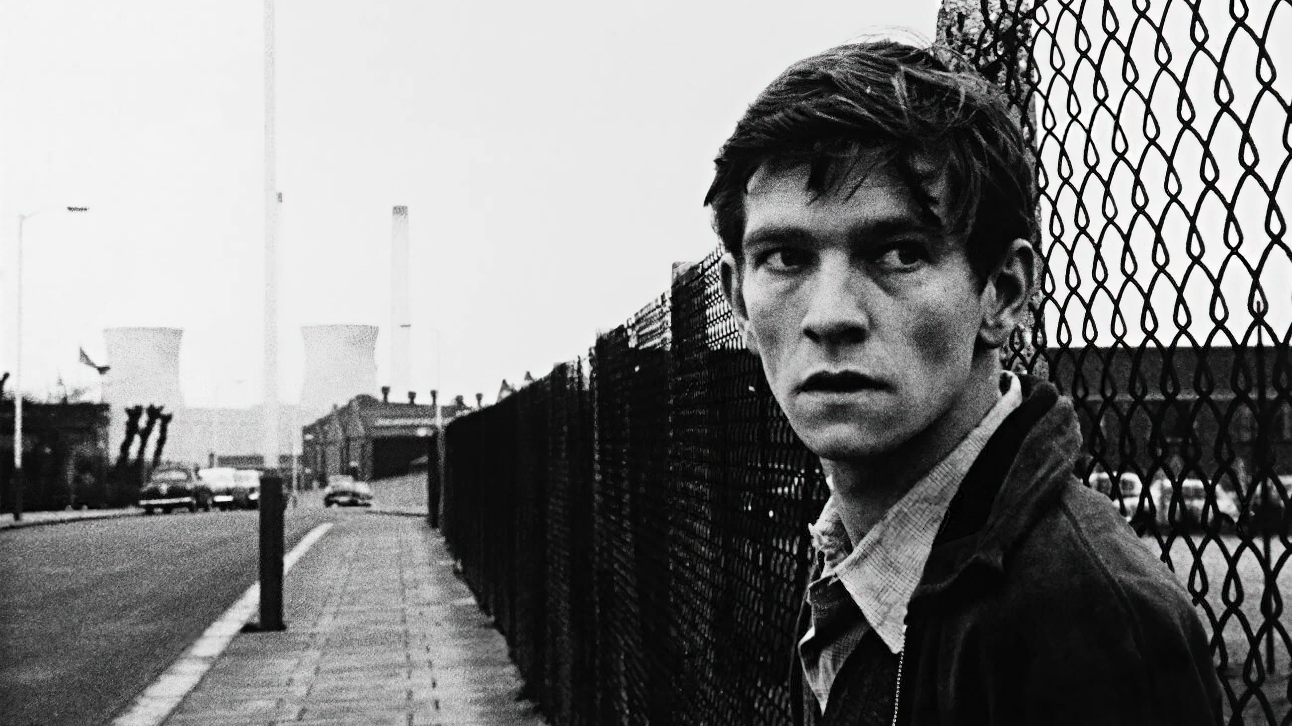 Gioventù amore e rabbia