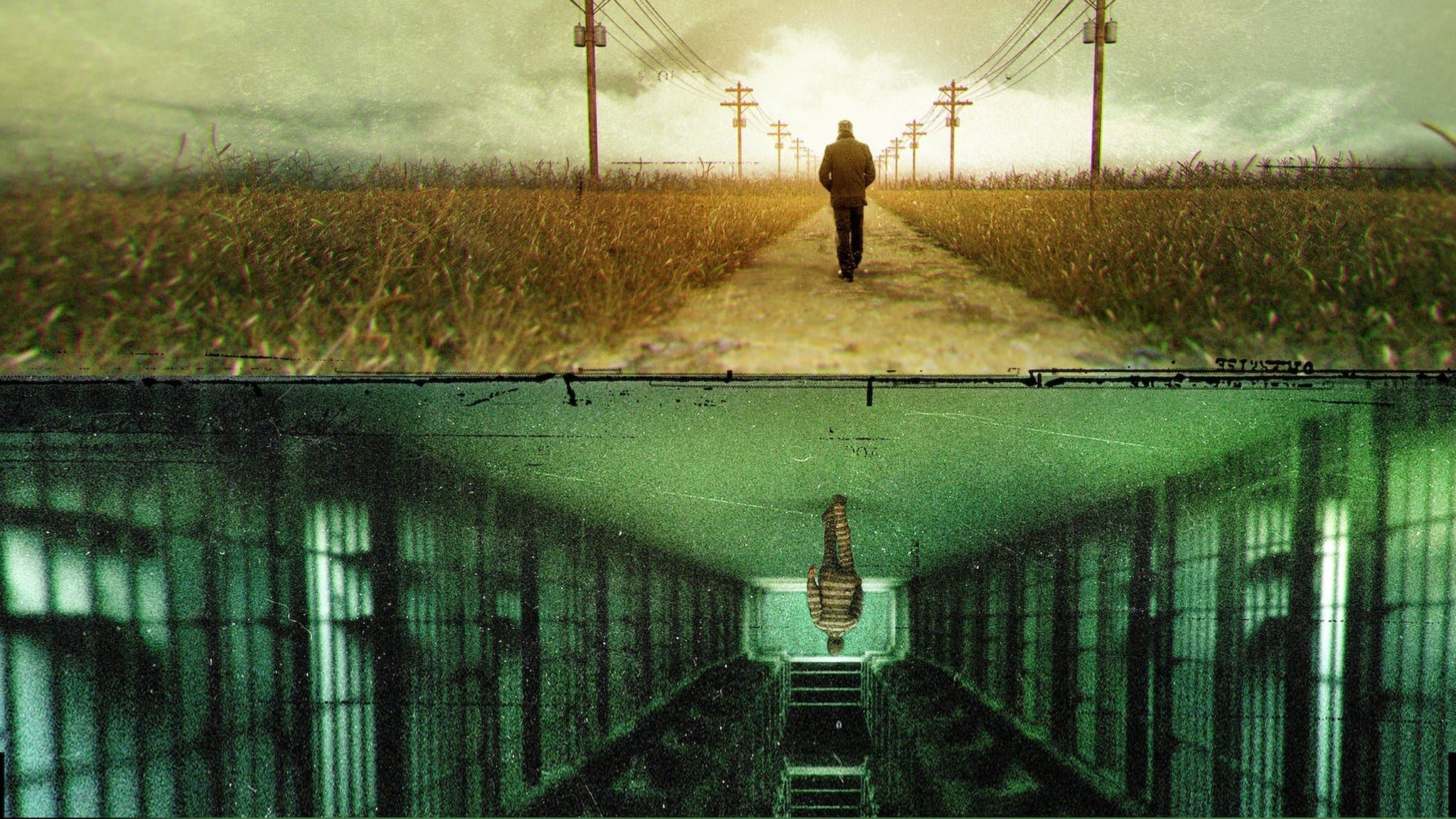 The Innocence Project