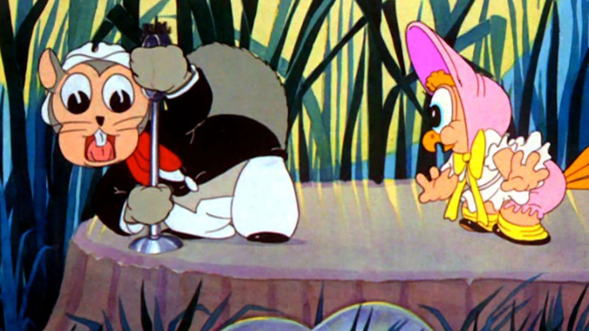 Questo pazzo, pazzo bosco