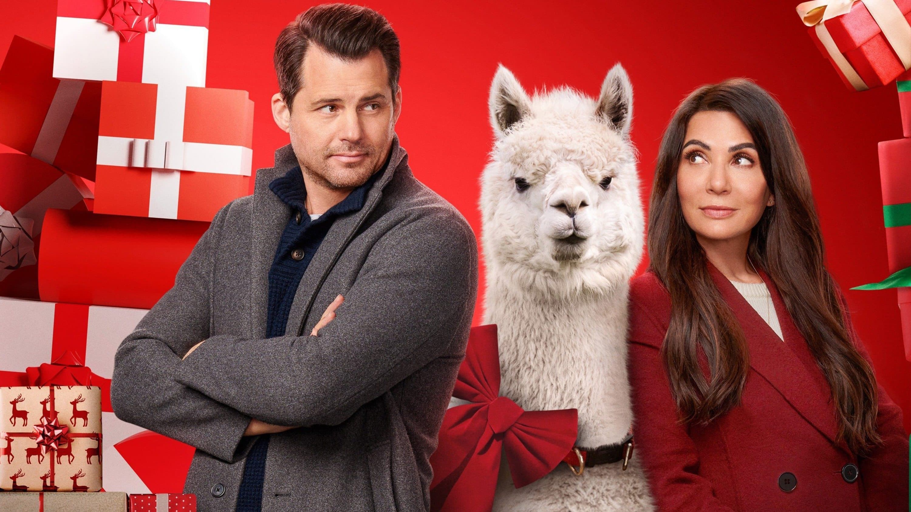 Un Natale per rinnamorarsi