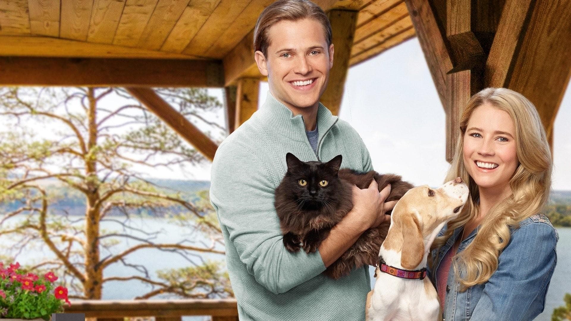 Amarsi come cani e gatti