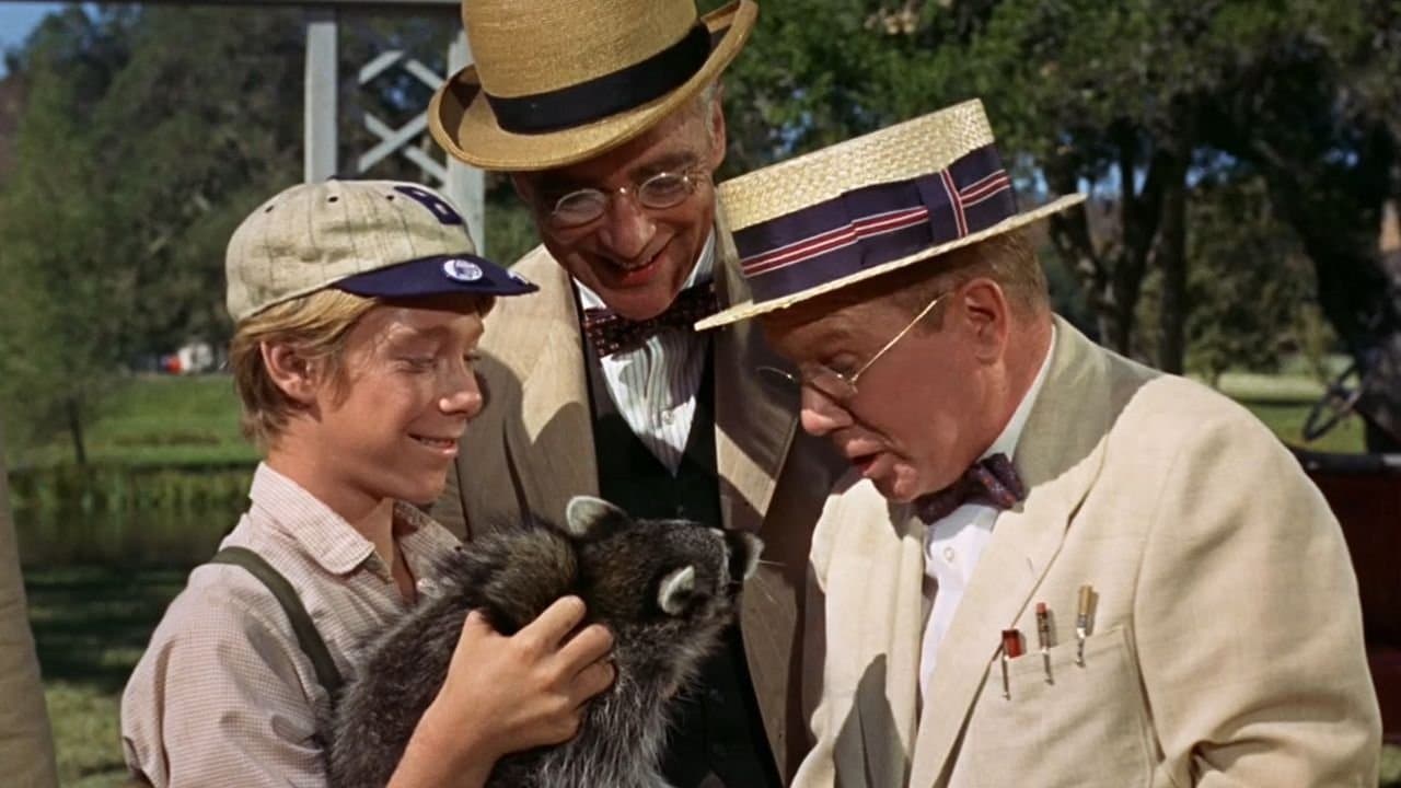 Rascal, l'orsetto lavatore