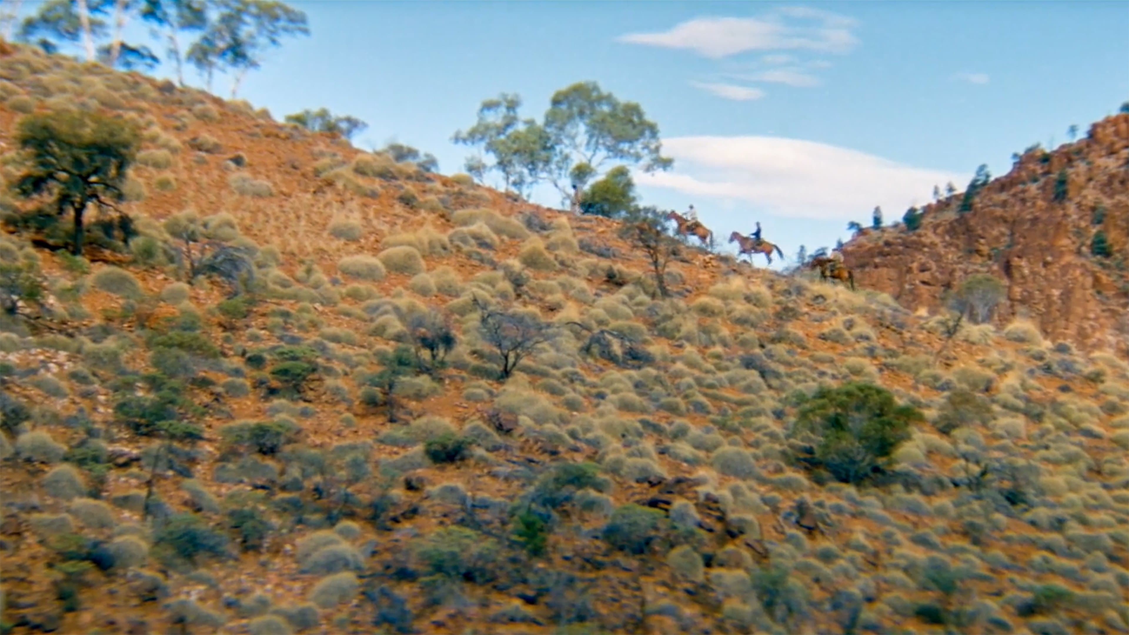 The Tracker - La Guida