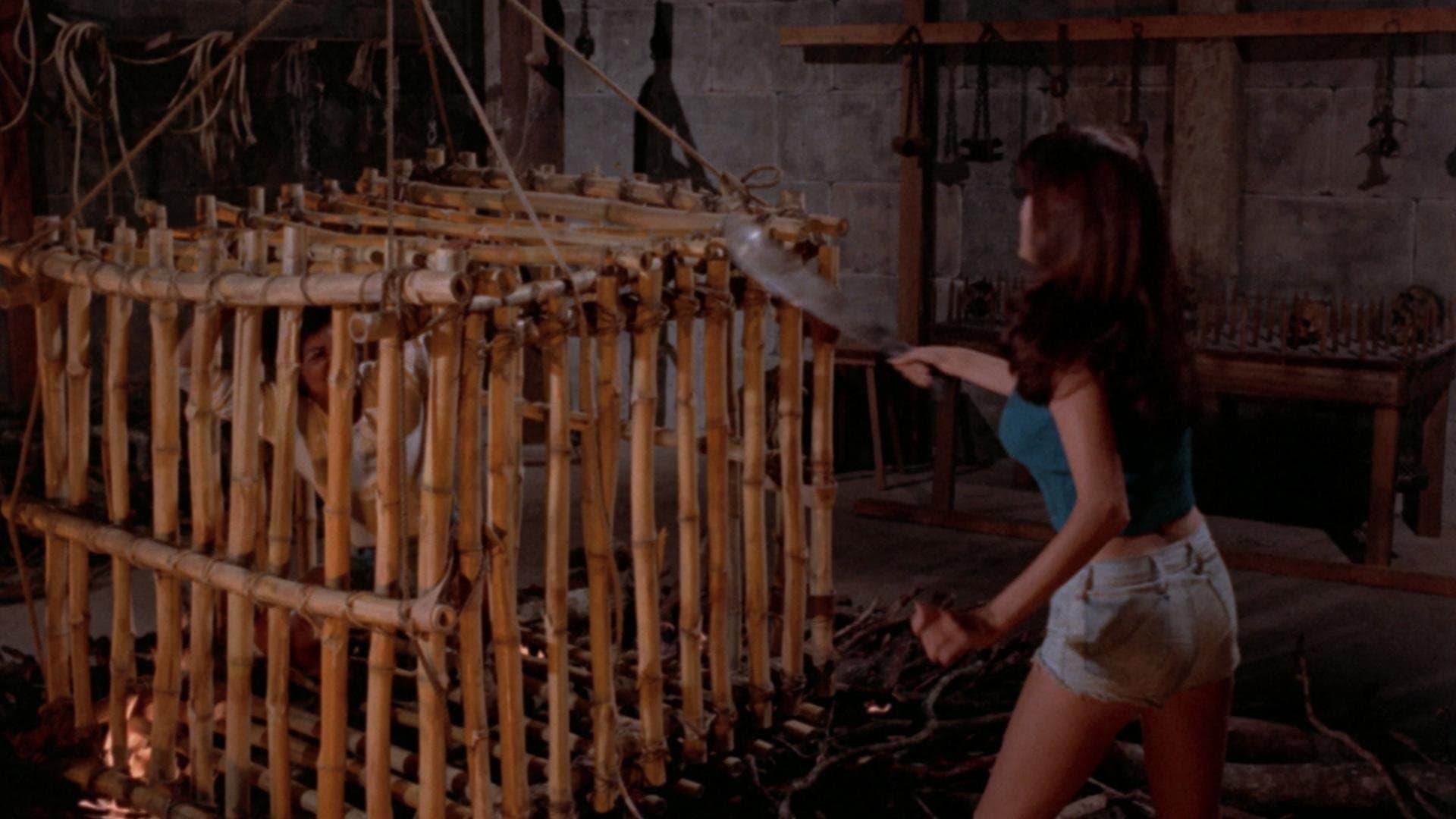 L'isola delle salamandre