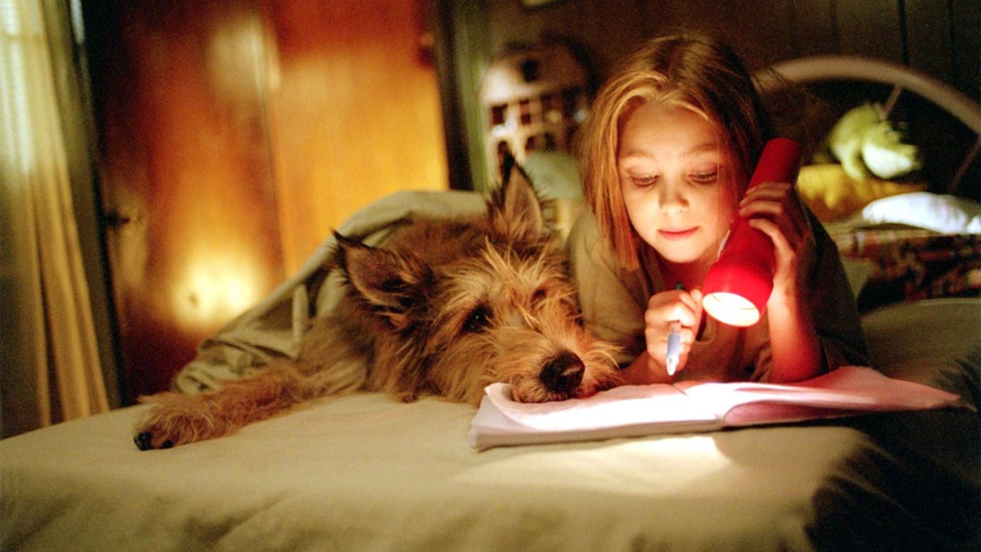 Il mio amico a quattro zampe