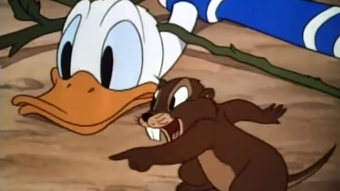 Il giardino di Paperino