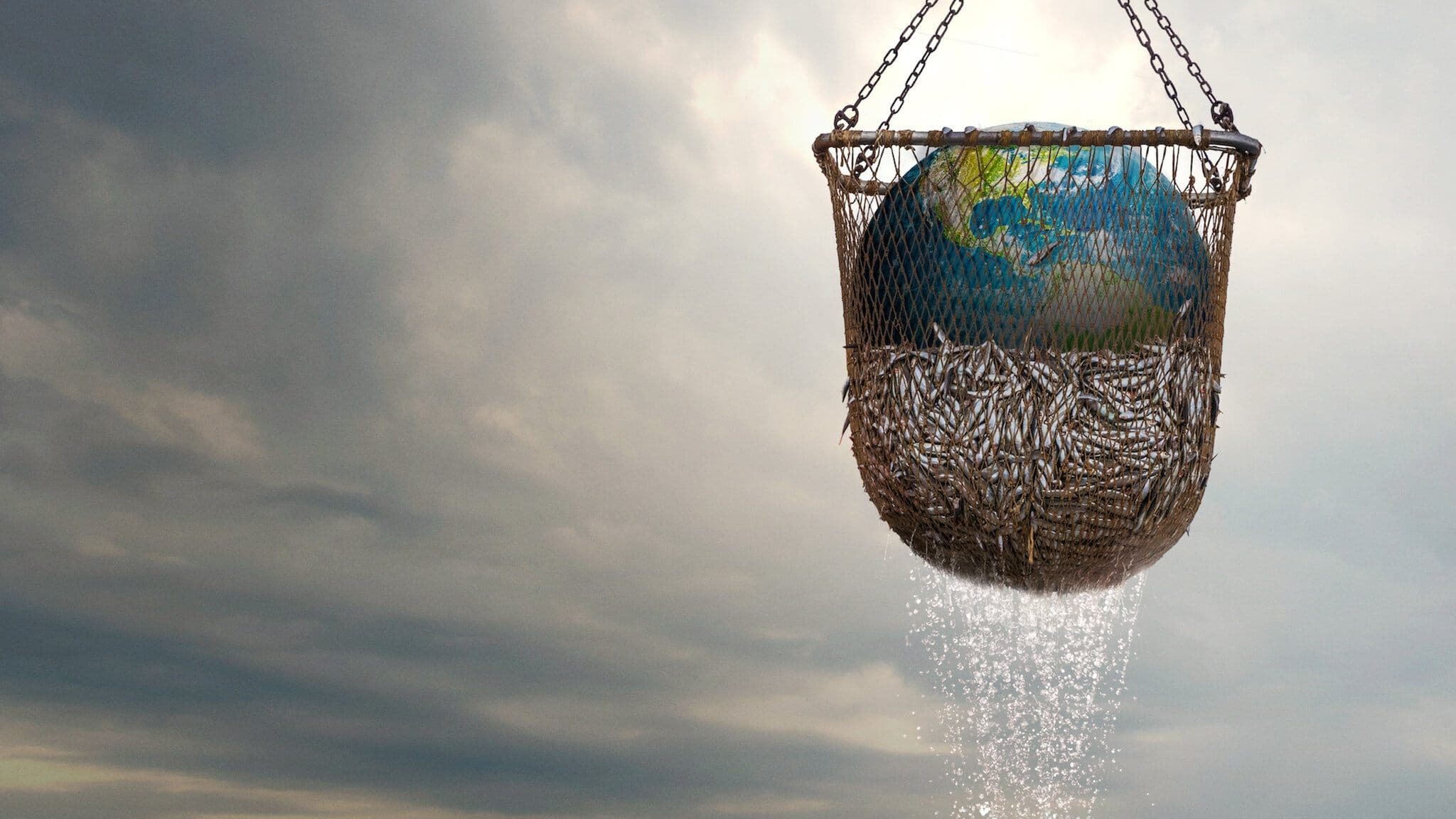 Seaspiracy - esiste la pesca sostenibile?