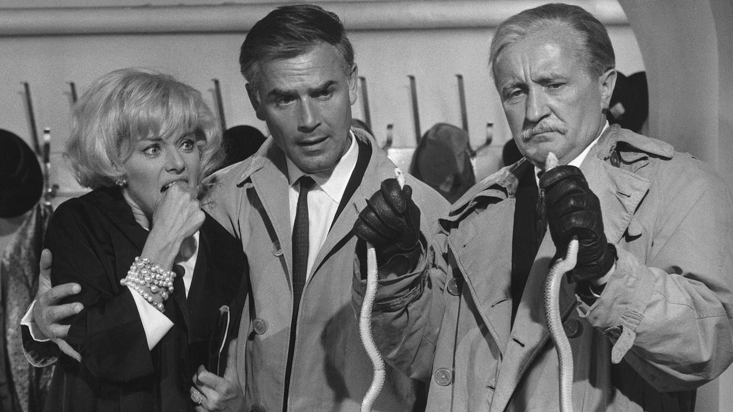 Le 5 vittime dell'assassino