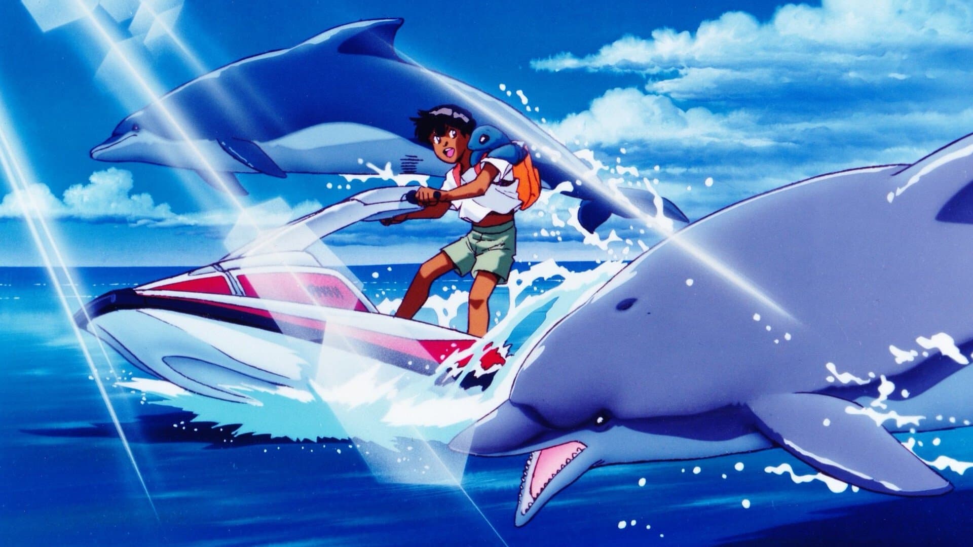 Coo che arrivò da un mare lontano