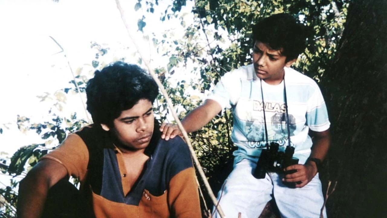 দীপু নাম্বার টু