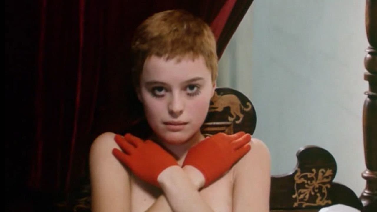 Uccellini orfani e pazzi