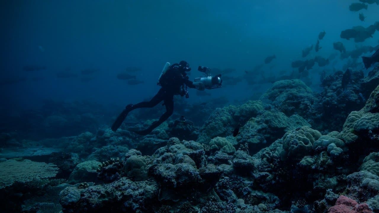 Notte sul pianeta Terra: un salto nel buio