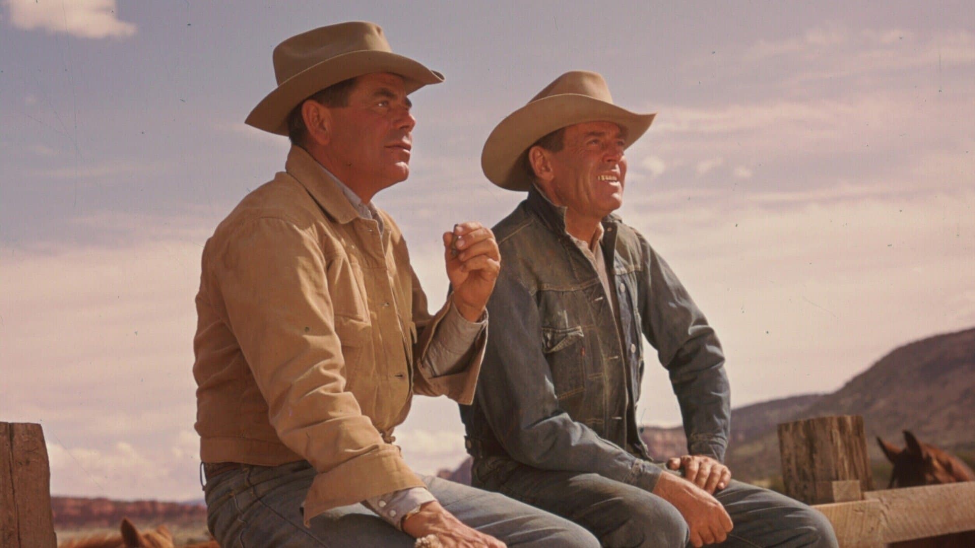 Gli indomabili dell'Arizona