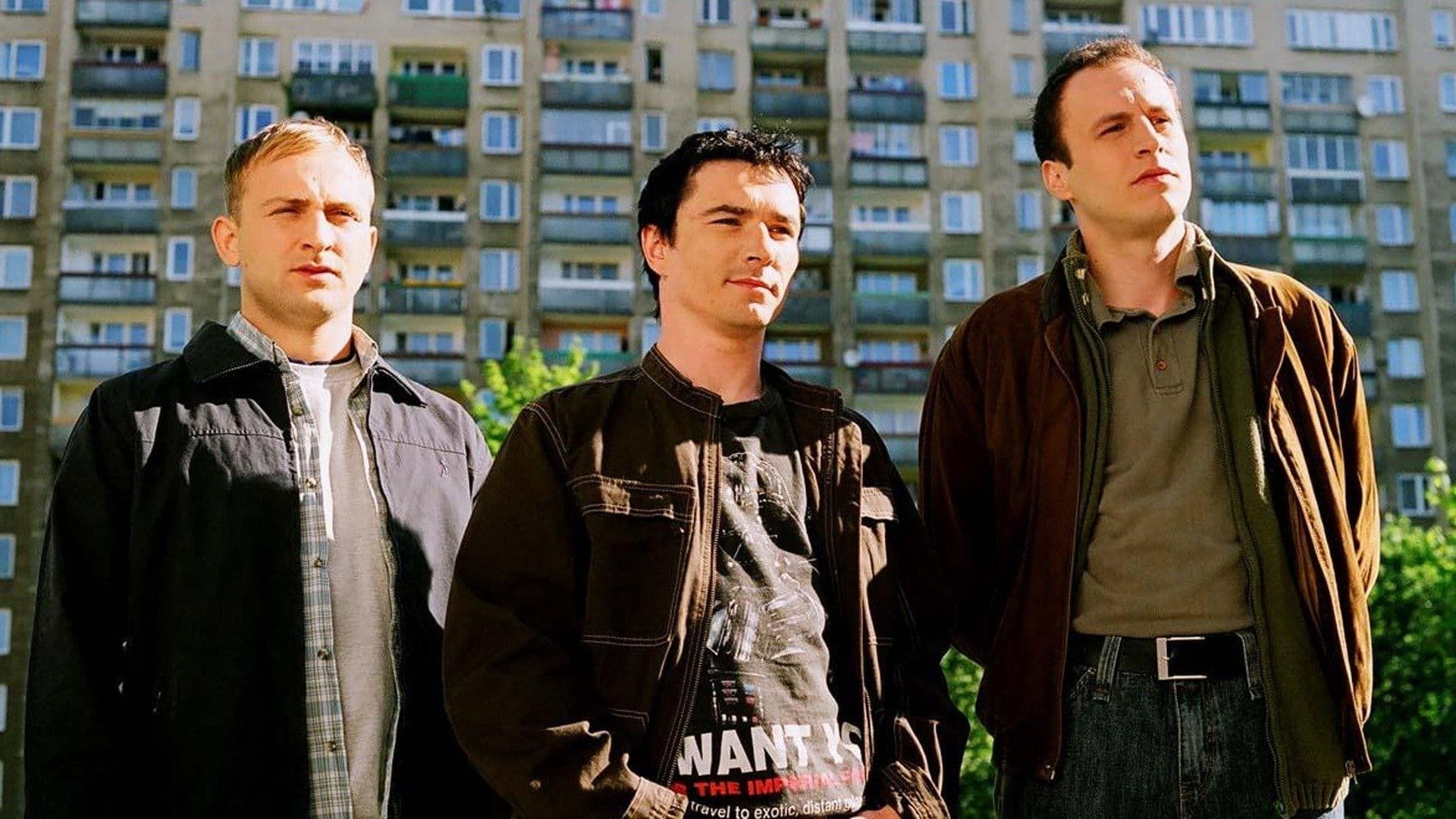 Job, czyli ostatnia szara komórka