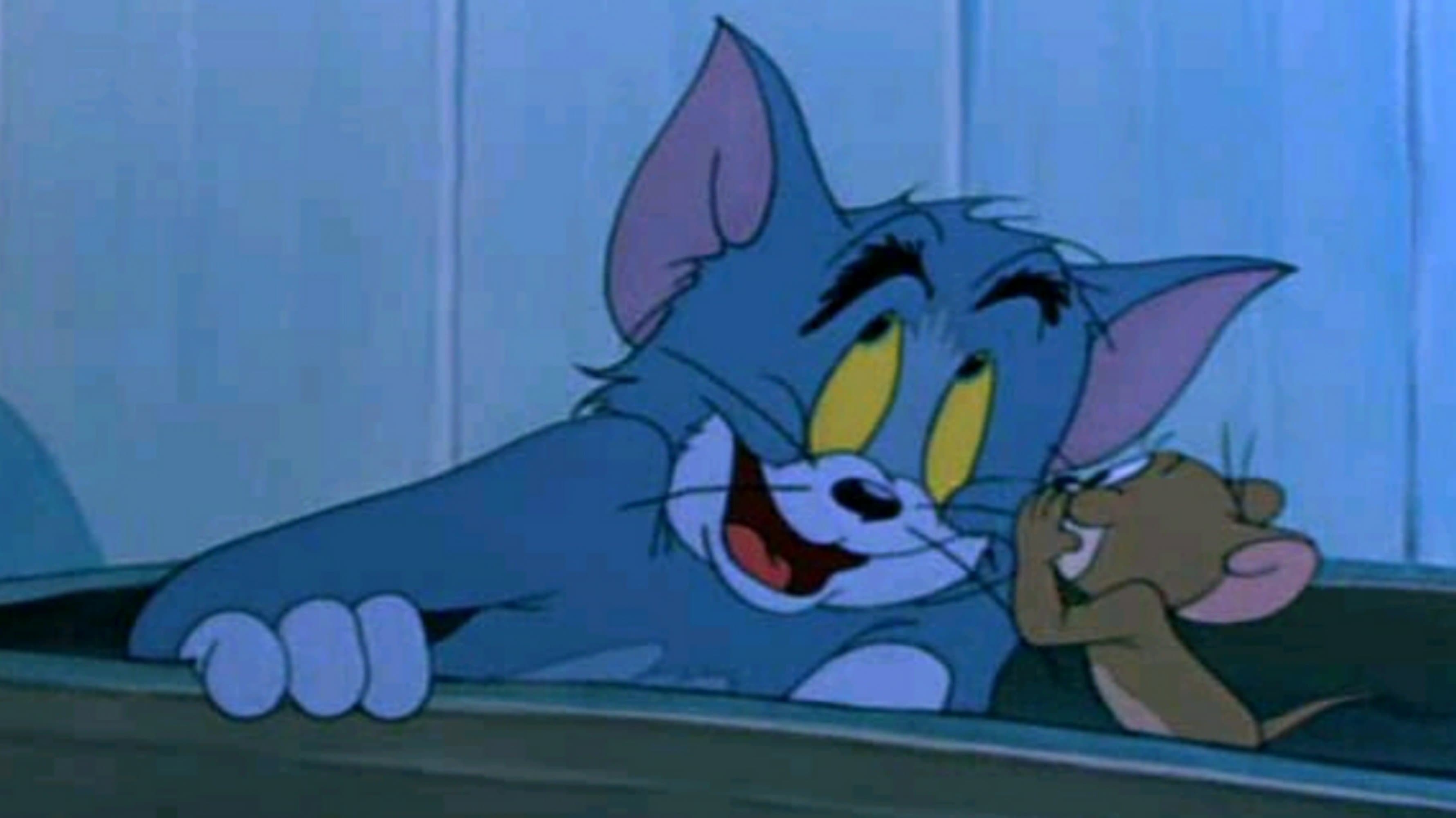 Gatto vecchio, vita nuova