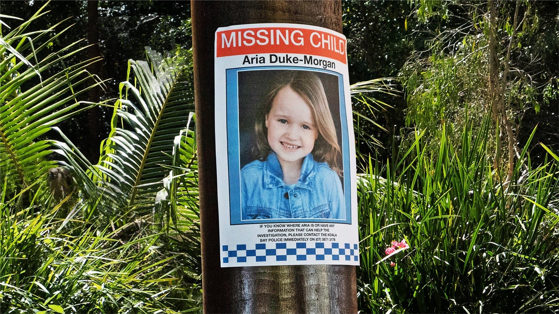 Scomparsa in paradiso