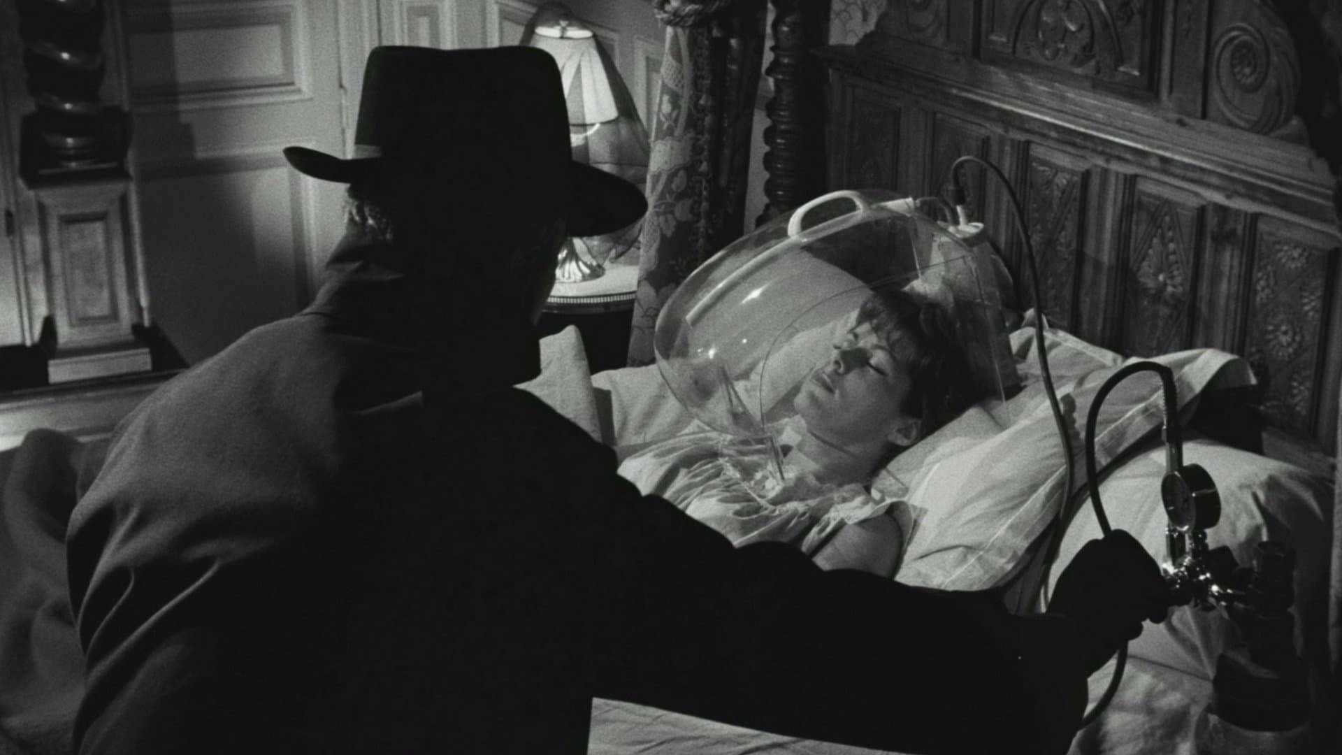 Piena luce sull'assassino