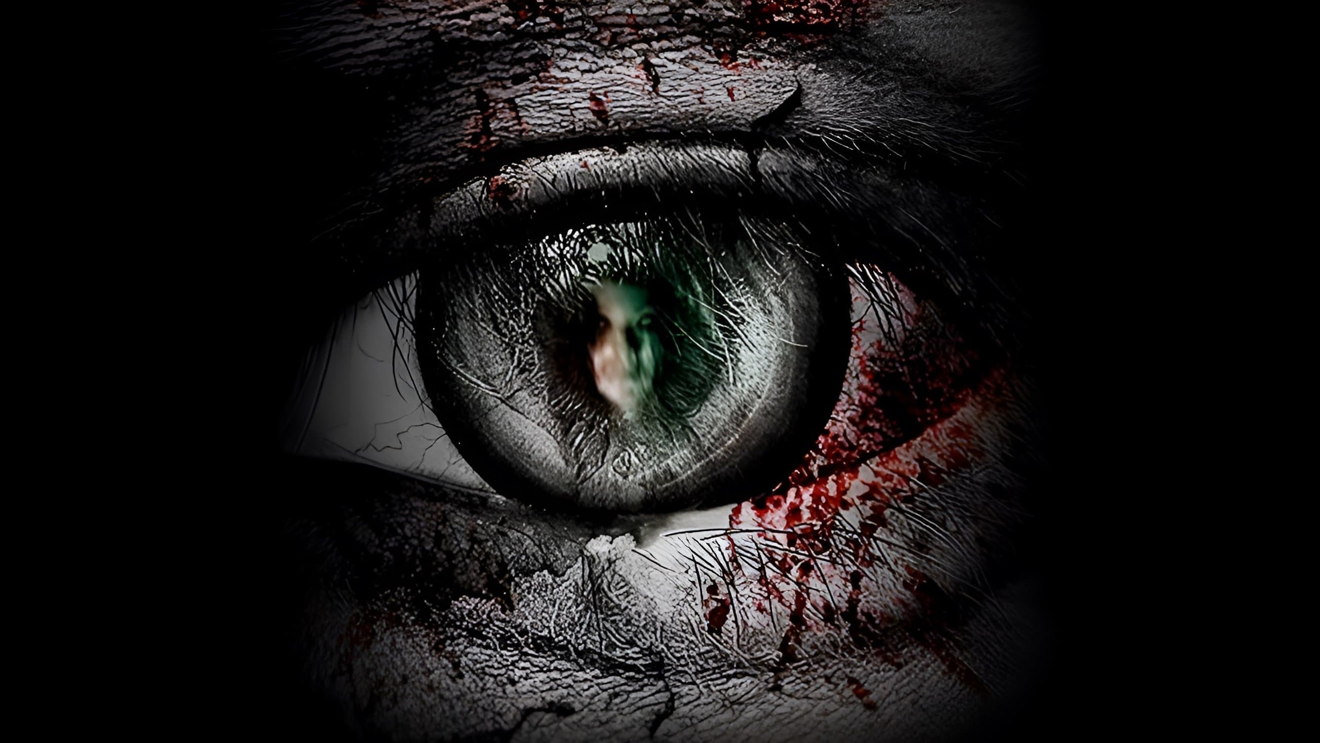 จิตสัมผัส