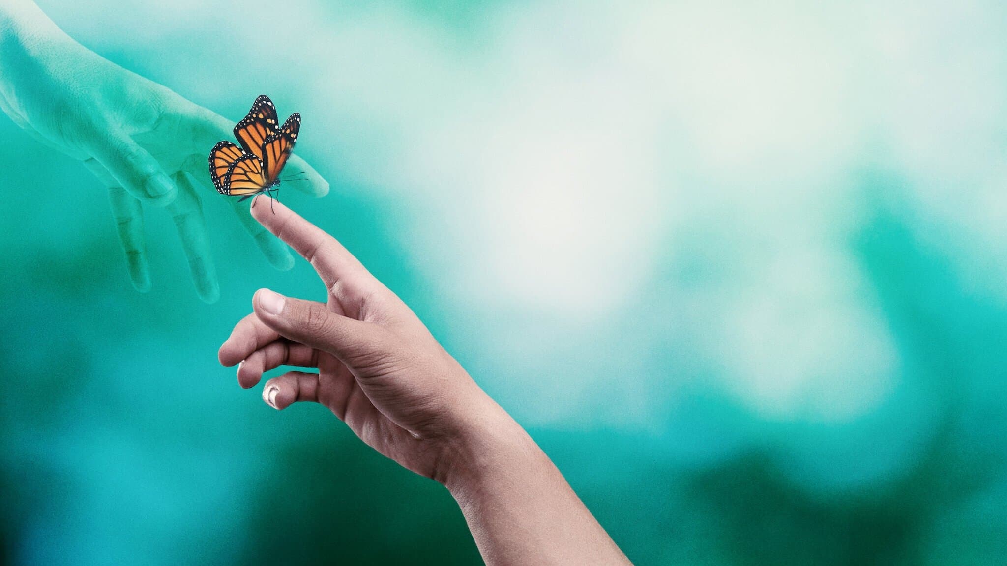 Surviving Death: cosa c'è dopo la morte?