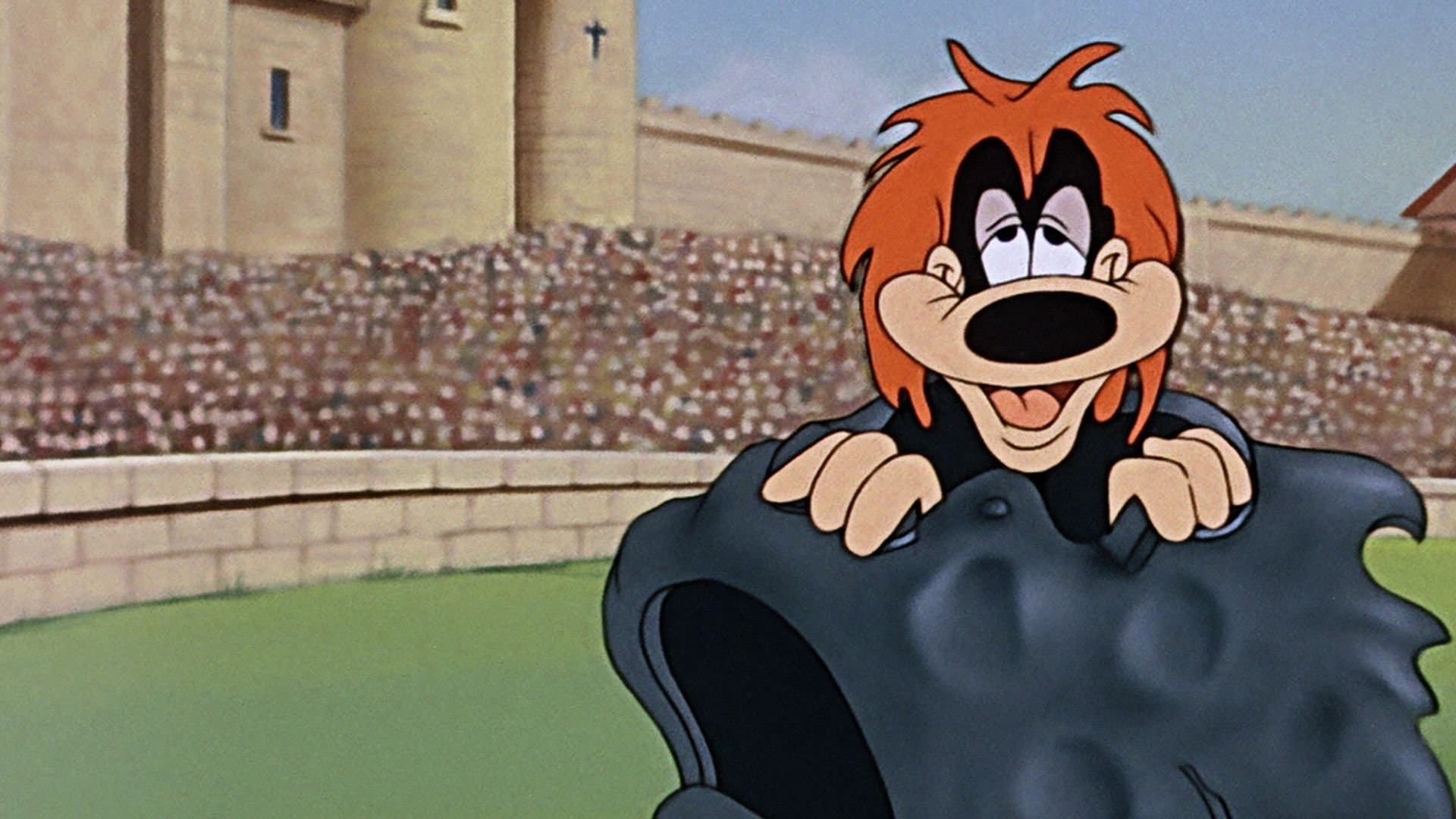 Cavaliere per un giorno