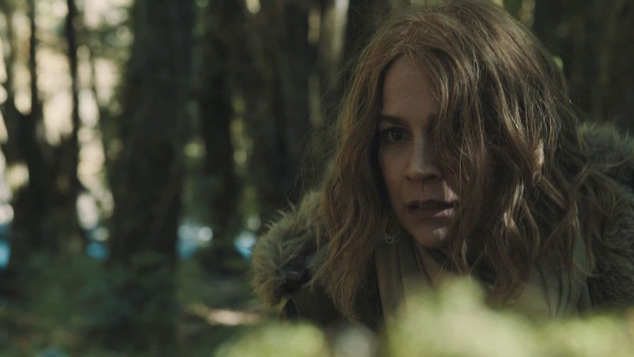 The Night of the Wild Boar