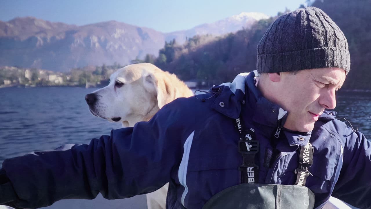 I migliori amici dell'uomo