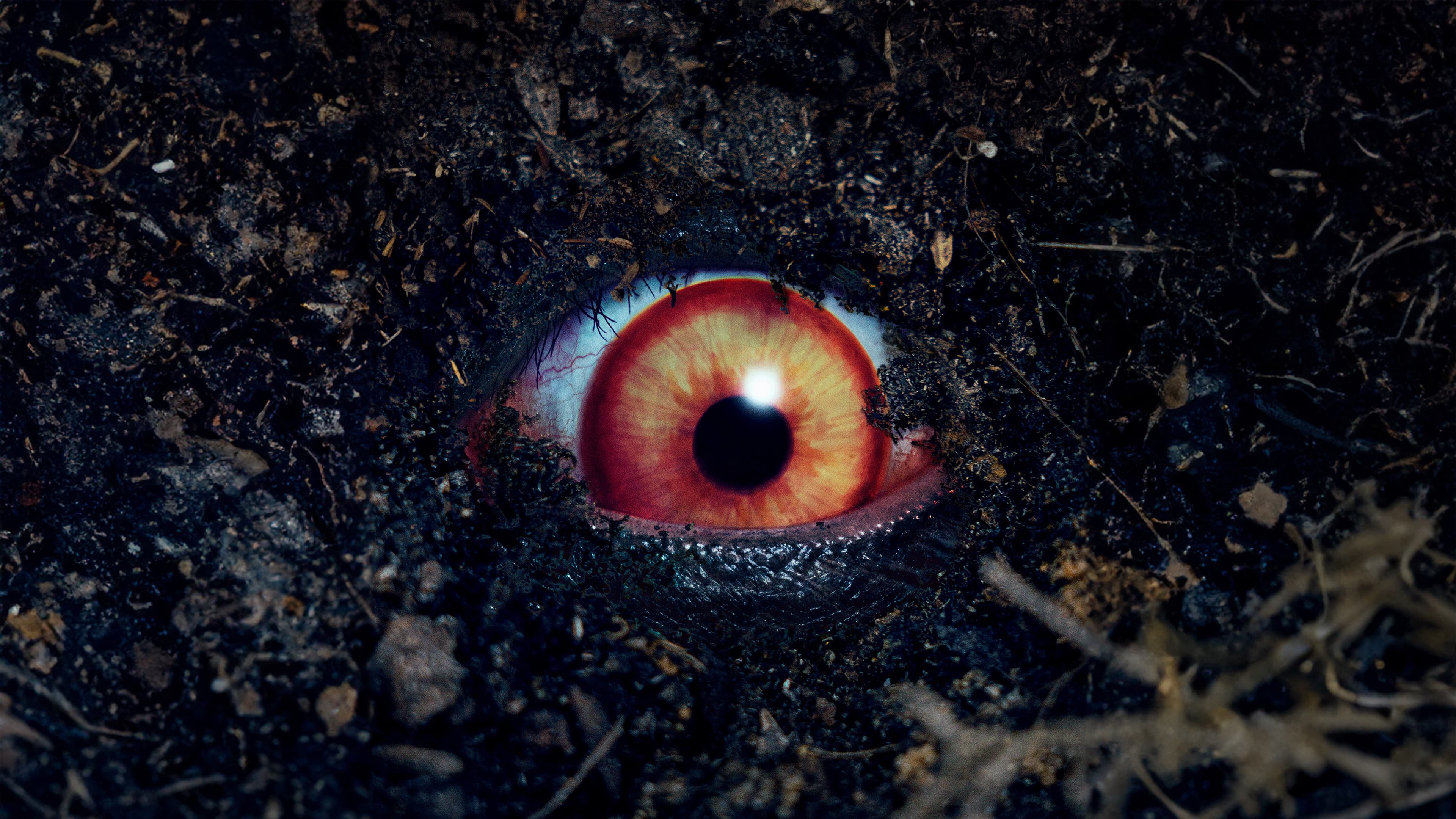 禁じられた遊び