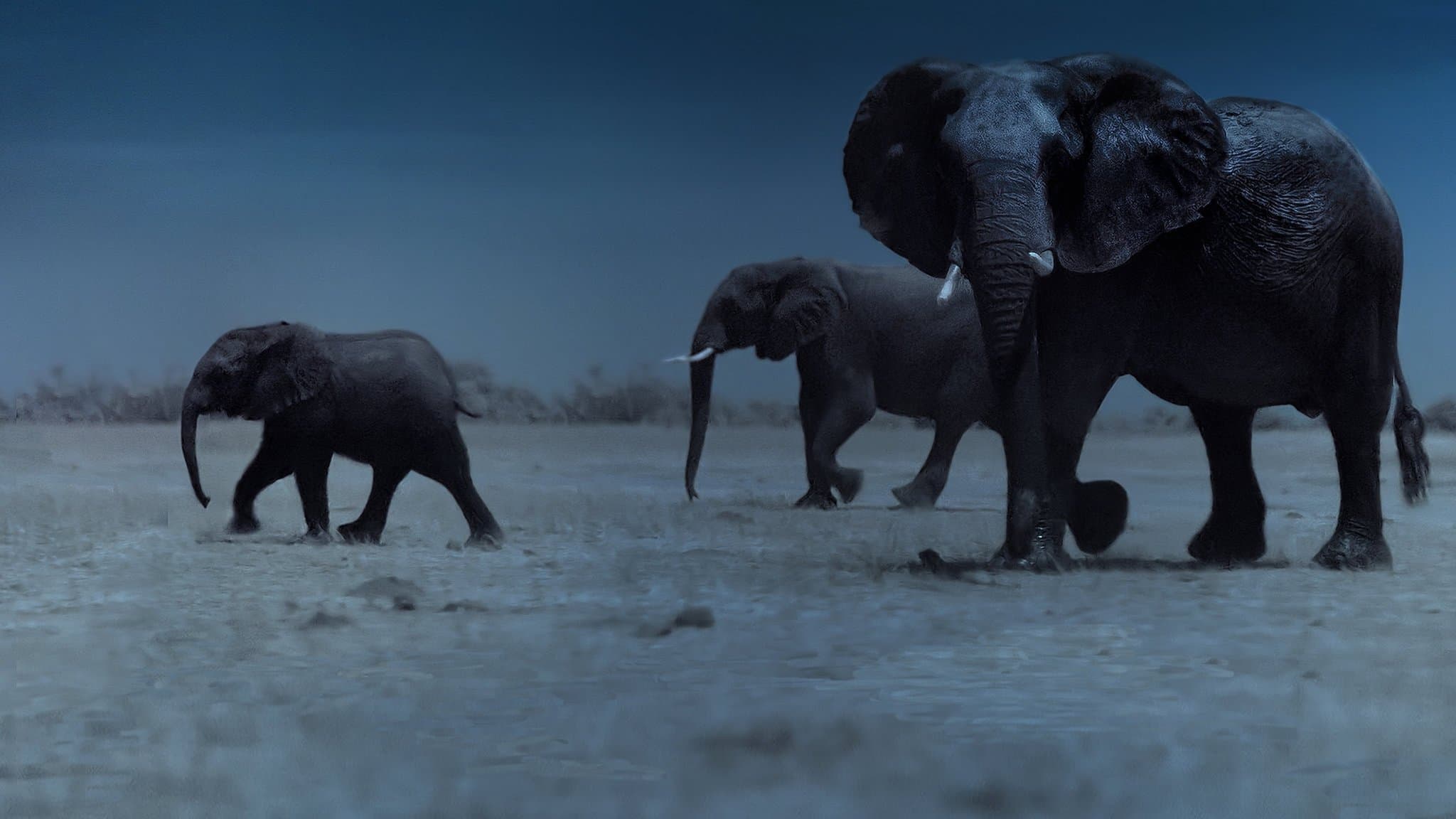 Notte sul pianeta terra